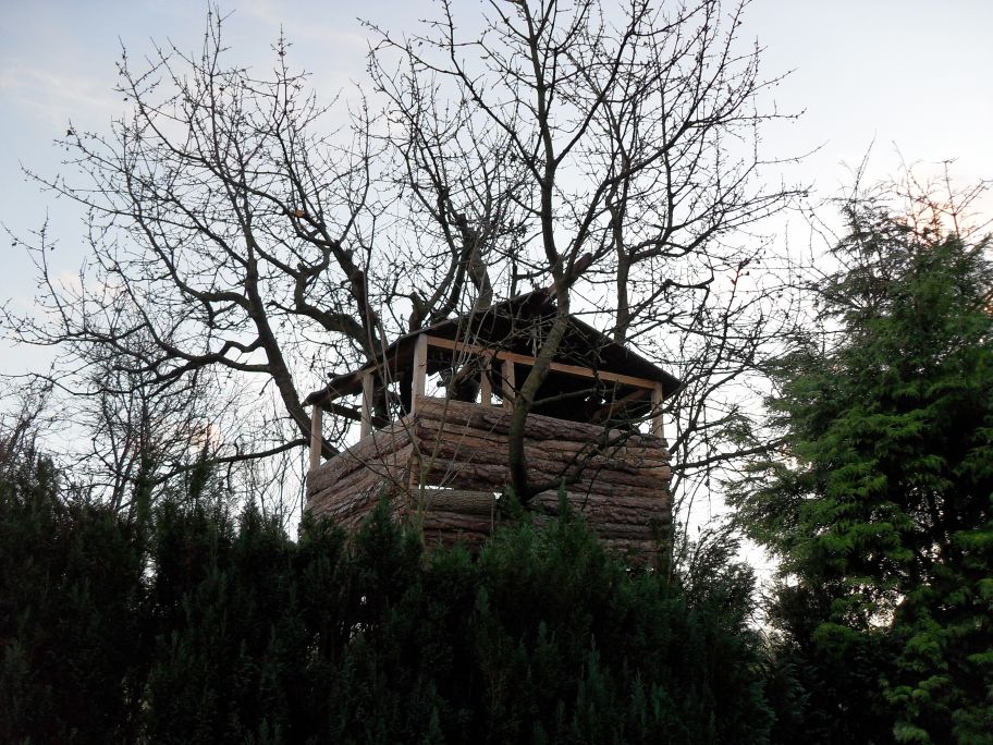 SDC10085.JPG