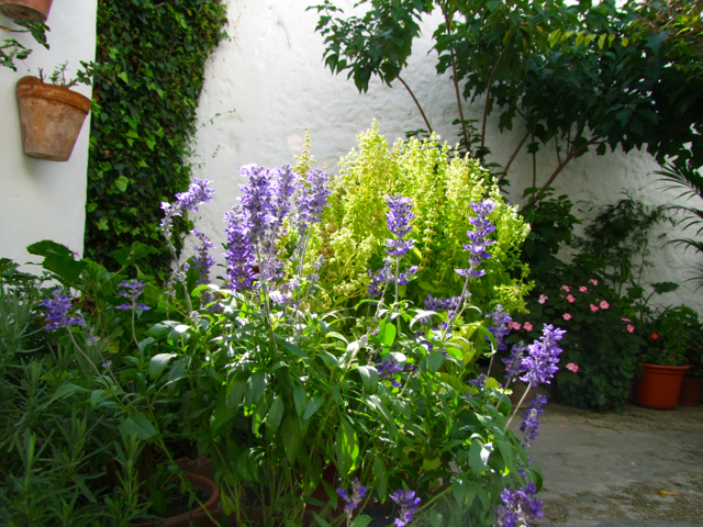 Vejer 141.jpg