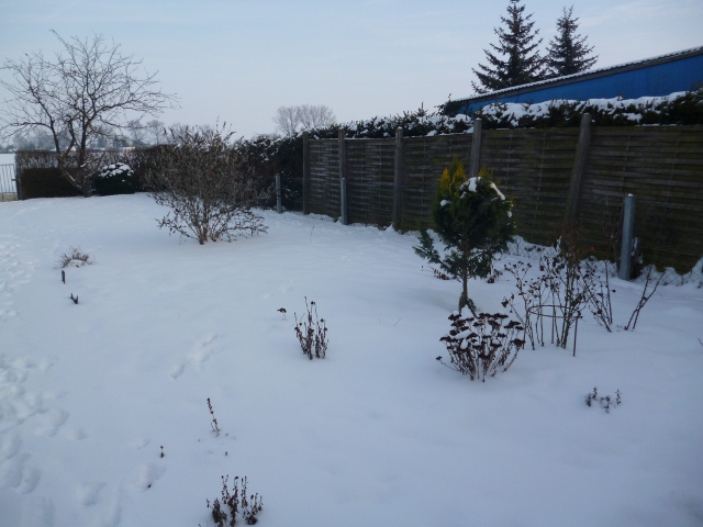 Winter 007 (640x480).jpg