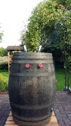 20160805_181629.jpg