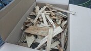 20160930_191127.jpg