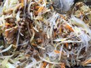 IMG_3064.JPG
