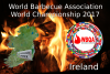 grill-weltmeisterschaft-irland-2017.png