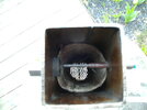 PICT0574.JPG