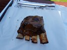 20180422_132318.jpg