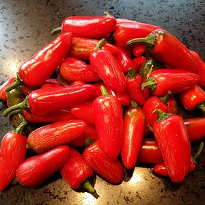 reife Jalapeños