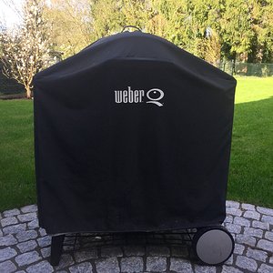 Weber Q300 1