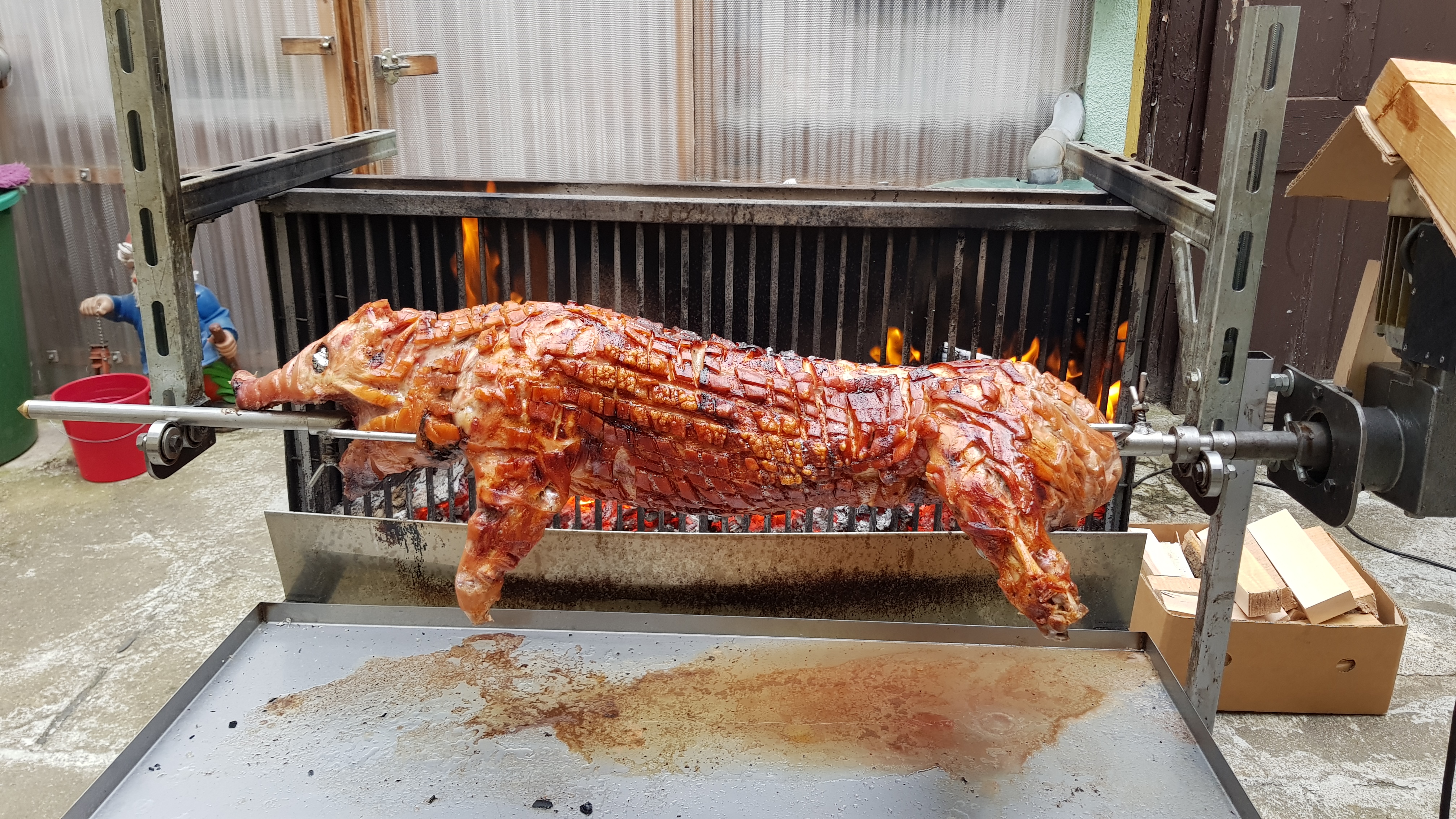 Spanferkel