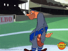 World Series Baseball GIF by Looney Tunes