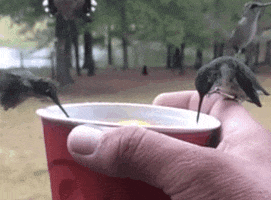 party drinking GIF by Mashable