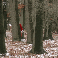 Where Is Christmas Tree GIF by Bayerischer Rundfunk