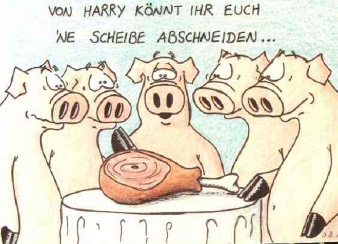 haxnscheibe.jpg