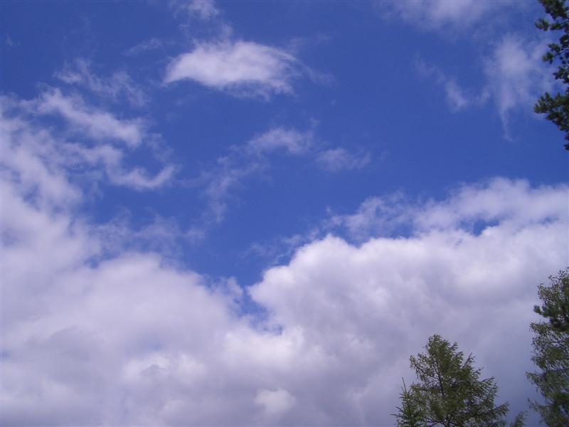 CIMG6414.JPG