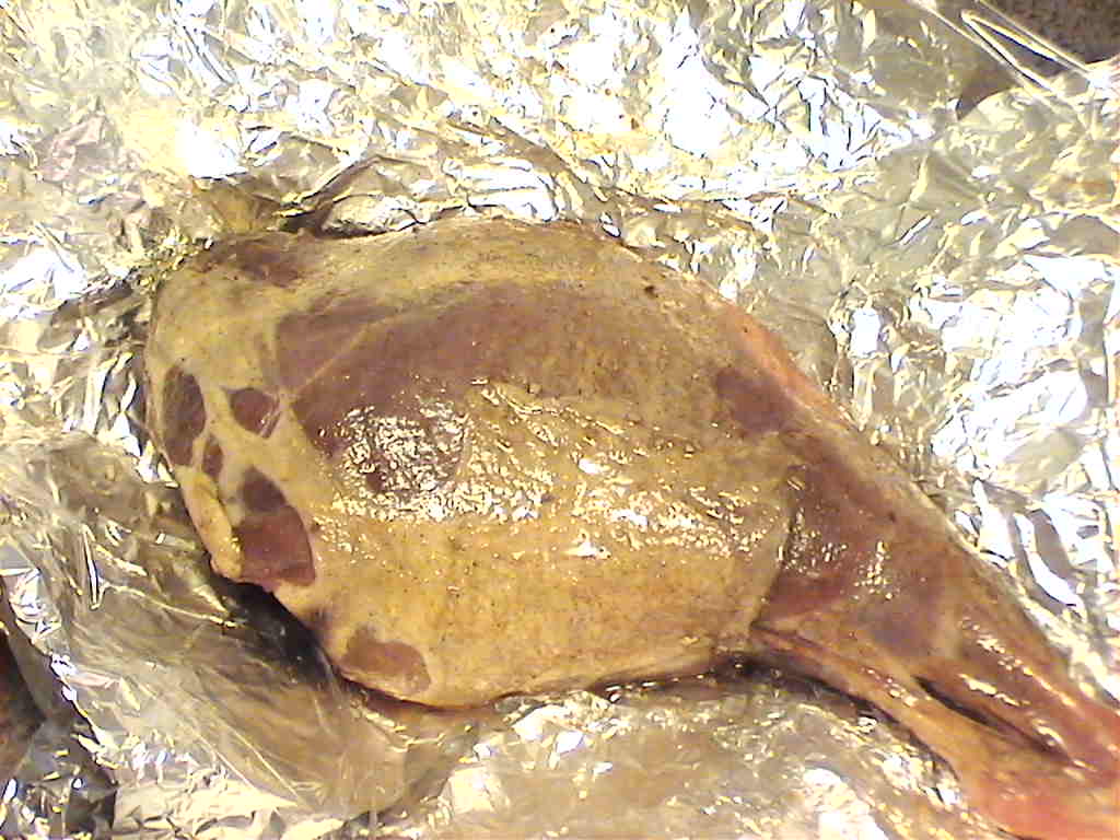 DVC00158.JPG