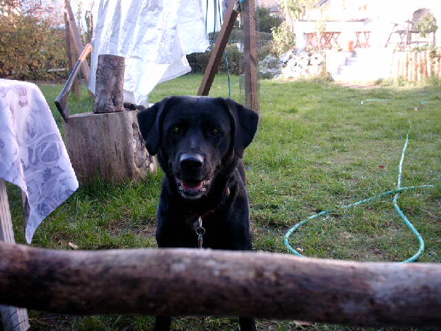 IMAG0160.JPG