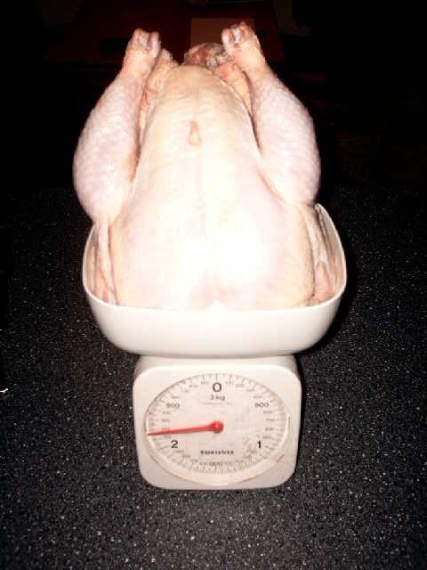 IMAG0226.JPG