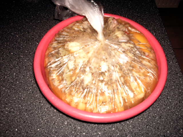 IMAG0227.JPG