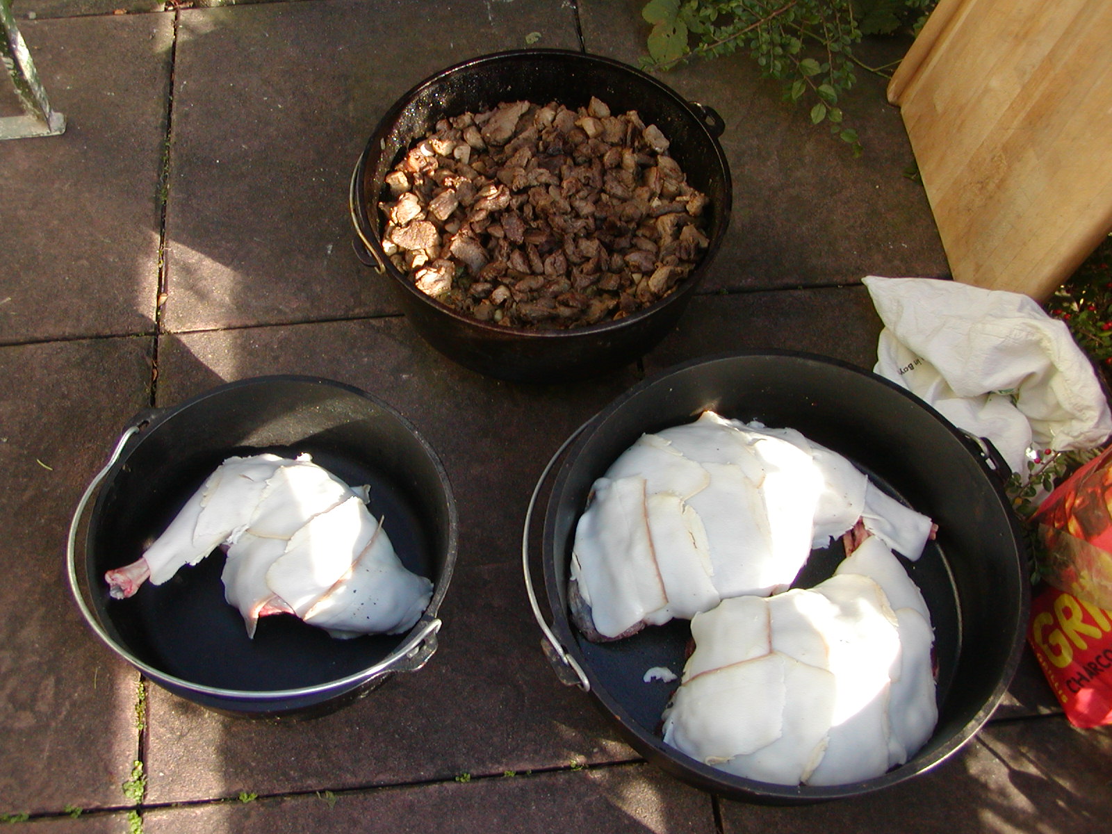 P1010027.JPG