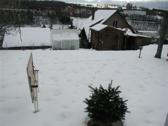 silvester01.JPG