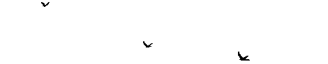 3118_crow9dn_2.gif