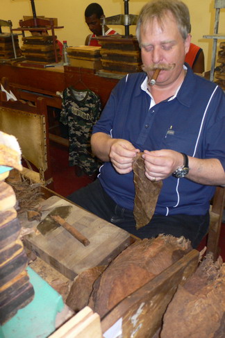 1353_stockiroller_1.jpg