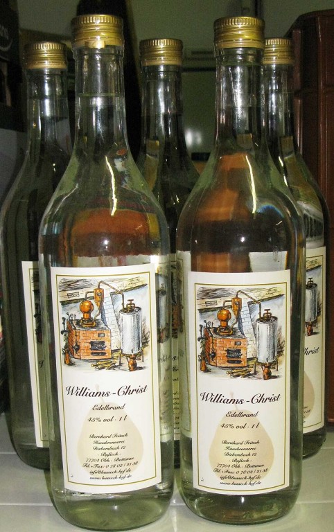 1353_willy_1.jpg