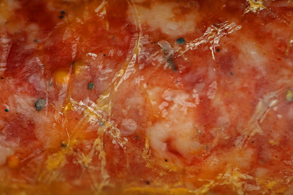 3395_wurst2_2.gif