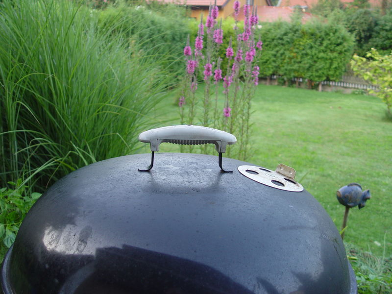 7015_20090805pp08_1.jpg