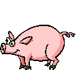 7046_dancingpig_2.gif