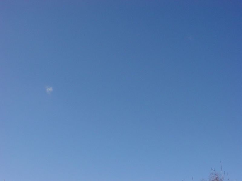 DSC03434.jpg