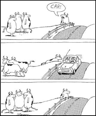 car.jpg
